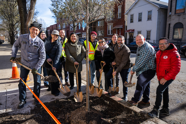 Tree planting in Chicago