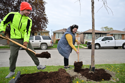 Members of the City of Chicago Tree Equity Working Group planting a tree for Arbor Day 2023 in Archer Heights