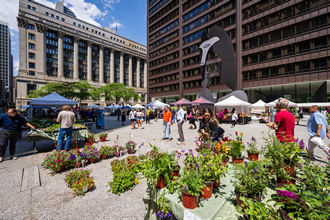 Chicago Farmers Markets