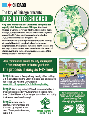 Our Roots Chicago - Community Flyer