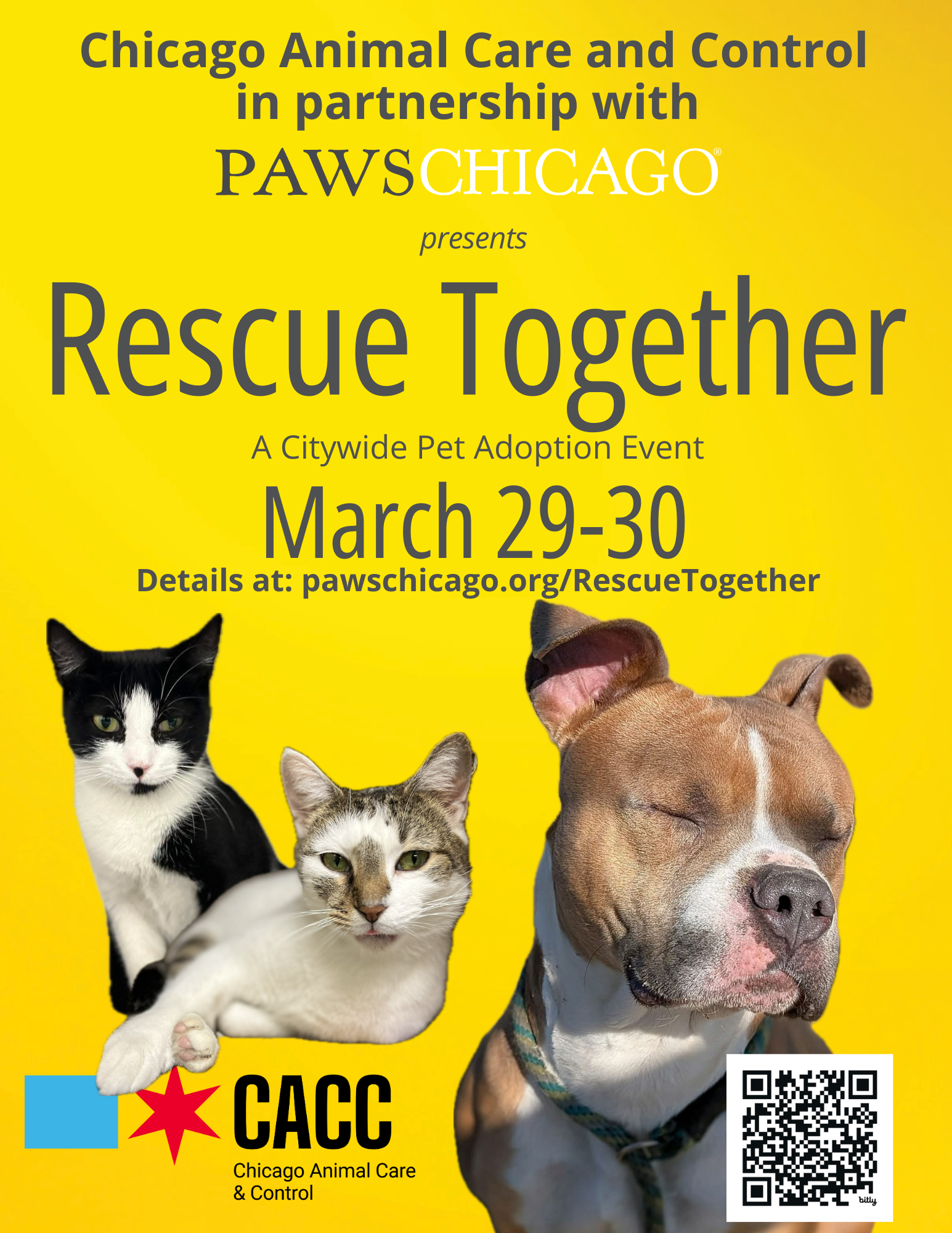 Rescue Together Flier