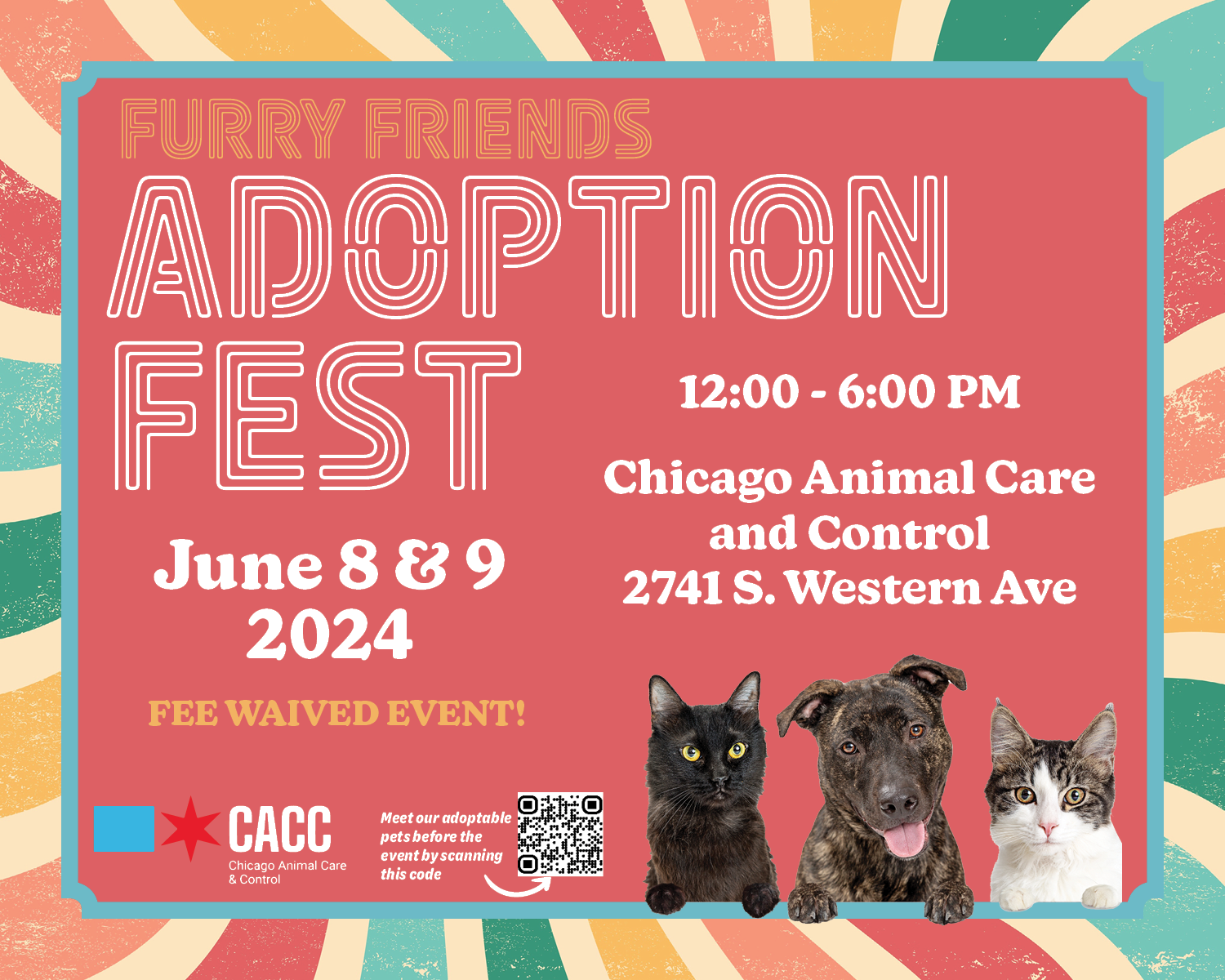 City of Chicago :: Adopt a Pet