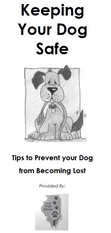 Keeping Your Dog Safe