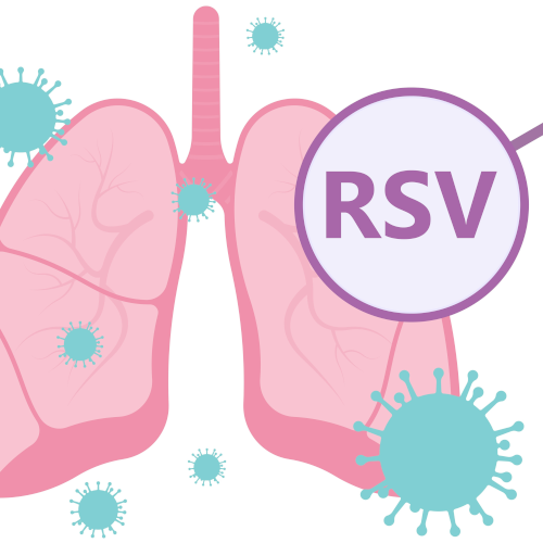 RSV graphic with lungs, virus, and magnifying glass reading "RSV"