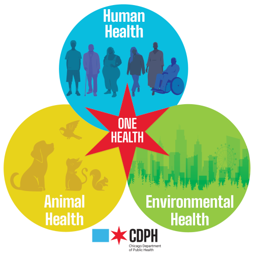 One Health Logo