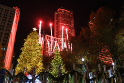 City of Chicago Christmas Tree (Photo credit: Melissa Blackmon Photography)