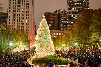 City of Chicago Christmas Tree