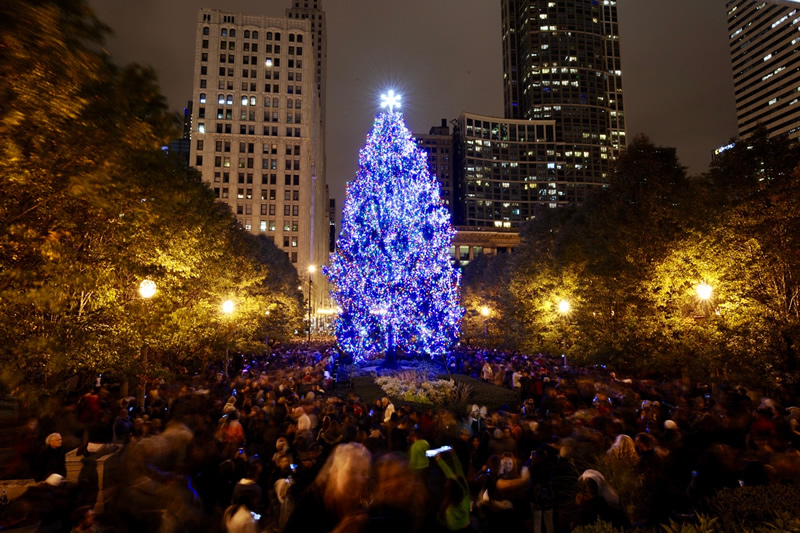City Of Chicago City Of Chicago Christmas Tree