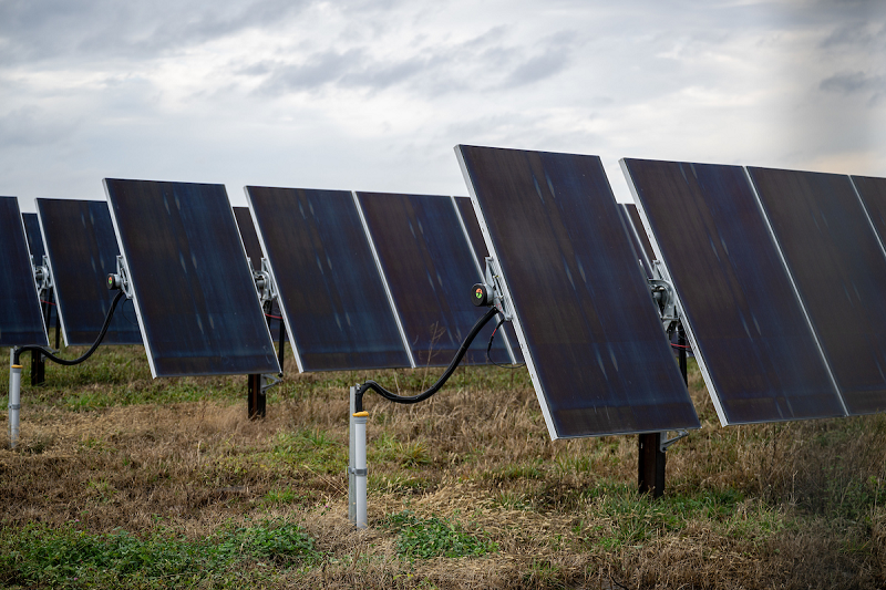 Rows of solar panels installed in a field under a cloudy sky.