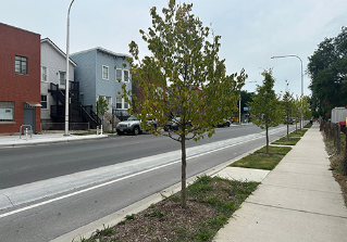 person riding bike waiting at protected intersection